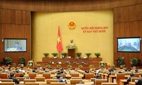 Asamblea Nacional de Vietnam continúa agenda de trabajo del X período de sesiones, XIV legislatura 
