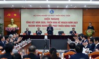 El sector agrícola de Vietnam determinado a avanzar más en 2021