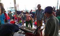 Pescadores de centro sur logra abundante cosecha durante el Festival del Año Nuevo Lunar 2021 