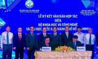 Vietnam fortalece el desarrollo de la industria de materiales