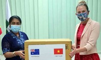 Suministros médicos de Vietnam llegan a Timor Leste