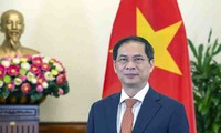 Vietnam promueve una diplomacia integral y moderna al servicio del desarrollo