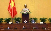 Vietnam fortalece la protección de la propiedad intelectual