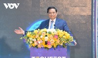 Robustecimiento de la conexión entre los vietnamitas para el emprendimiento y la innovación