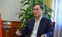 Diplomacia económica, tarea prioritaria de Vietnam durante 2022