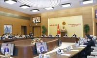 El Comité Permanente del Parlamento debate la práctica democrática y el aumento del profesionalismo