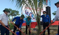 Actividades en respuesta Día Mundial del Medio Ambiente vibran en Vietnam