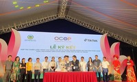 Fortalecerán uso de la plataforma TikTok para promocionar productos OCOP en Hanói