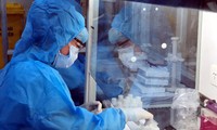 Covid-19: Vietnam registra 371 nuevos contagios sin ningún fallecimiento