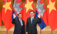 Impulso a la cooperación integral Vietnam-Camboya
