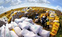 Vietnam confirma capacidad para garantizar seguridad alimentaria nacional