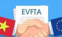 Empresas vietnamitas hacen buen uso del EVFTA