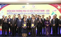 Más oportunidades de inversión para empresas vietnamitas en Laos