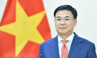 El viceministro de Relaciones Exteriores felicitan a los vietnamitas en el mundo con motivo del Tet 2023