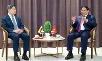 Vietnam y Brunéi fomentan la cooperación económica