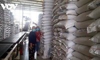 El precio del arroz de exportación de Vietnam es el más alto del mundo