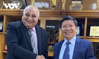 La Voz de Vietnam y la Radio Nacional de Egipto fortalecen la cooperación