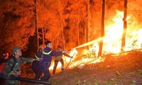 Primer Ministro orienta mayores esfuerzos para prevenir contra incendios forestales