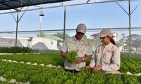 Vietnam eleva los criterios de evaluación del crecimiento verde 