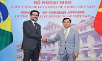 Impulso a la asociación integral Vietnam-Brasil