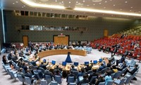 Otros cinco países se unen al Consejo de Seguridad de la ONU por dos años