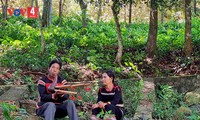 Vigorizan patrimonios culturales de la etnia Ede en Dak Lak