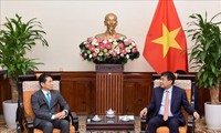 Vietnam destaca a Japón como socio primordial a largo plazo