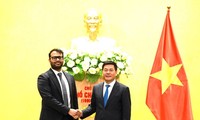 Emiratos Árabes Unidos pretende desarrollar una red eléctrica inteligente en Vietnam