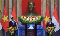 Vietnam e Indonesia abogan por elevar las relaciones bilaterales a un nuevo nivel