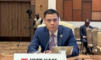 Vietnam aporta propuestas a la III Cumbre del Sur