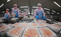 Estados Unidos emite conclusión preliminar sobre investigación antisubvención de camarón vietnamita