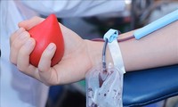 Vietnam celebra el Día Nacional de la Donación Voluntaria de Sangre