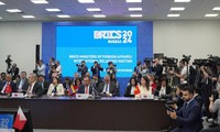 Vietnam participa en el diálogo BRICS con países en desarrollo