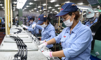 Inversores extranjeros depositan su confianza en Vietnam como destino ideal