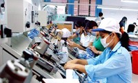 Vietnam por lograr un millón de empresas activas para 2020