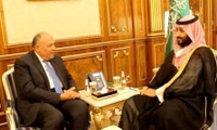 Egipto y Arabia Saudita ponen de relieve la solidaridad entre los estados árabes
