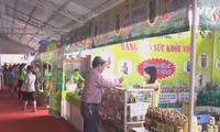 Ciudad Ho Chi Minh promociona el consumo de productos nacionales 