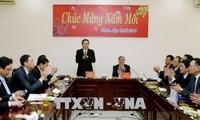 Piden poner de relieve el papel de las organizaciones miembros del Frente de la Patria de Vietnam