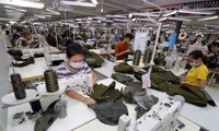 Empresas vietnamitas toman iniciativas en mercado de CPTPP