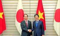 Vietnam y Japón reafirman cooperación en varios campos 
