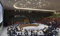 Estados Unidos veta resolución de la ONU que denuncia violencia contra los palestinos