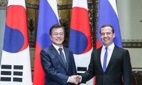 Corea del Sur y Rusia se esforzarán conjuntamente para establecer la paz 