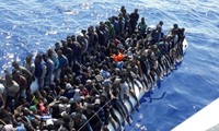 España rescata a 616 migrantes 