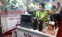 Llevan el sabor único del café de Son La a Hanói