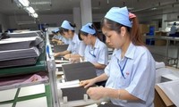 Vietnam entre los países con mejor crecimiento en un plazo más breve 