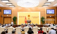 Evalúan la implementación de las resoluciones de la Asamblea Nacional de Vietnam