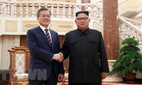 Gobierno de Corea del Sur aprueba el acuerdo intercoreano