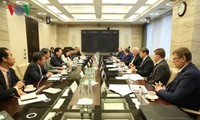 Viceprimer ministro de Vietnam se reúne con líderes de corporaciones rusas