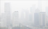 Celebran primera conferencia mundial sobre contaminación del aire