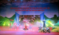 Celebran Festival sobre el modelo de pueblo cultural en Thai Nguyen